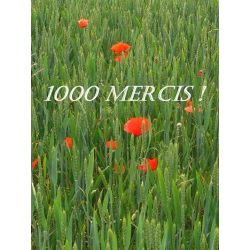 Carte merci 2