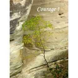 Carte courage 2