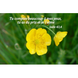 Carte Bible 8