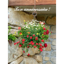 Carte anniversaire 2