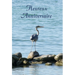 Carte anniversaire 3