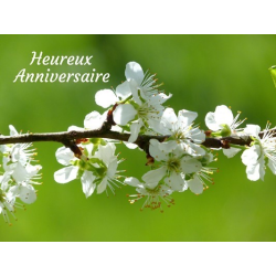 Carte anniversaire 4