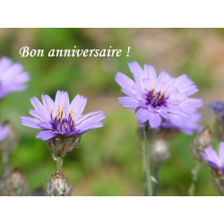 Carte anniversaire 8