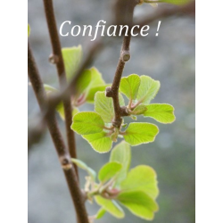 Carte courage 5