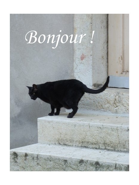 Carte Avec Un Chat Qui Dit Bonjour