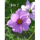 carte fleurie: "Joie!" 