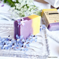 savon solide à l'huile de bourrache