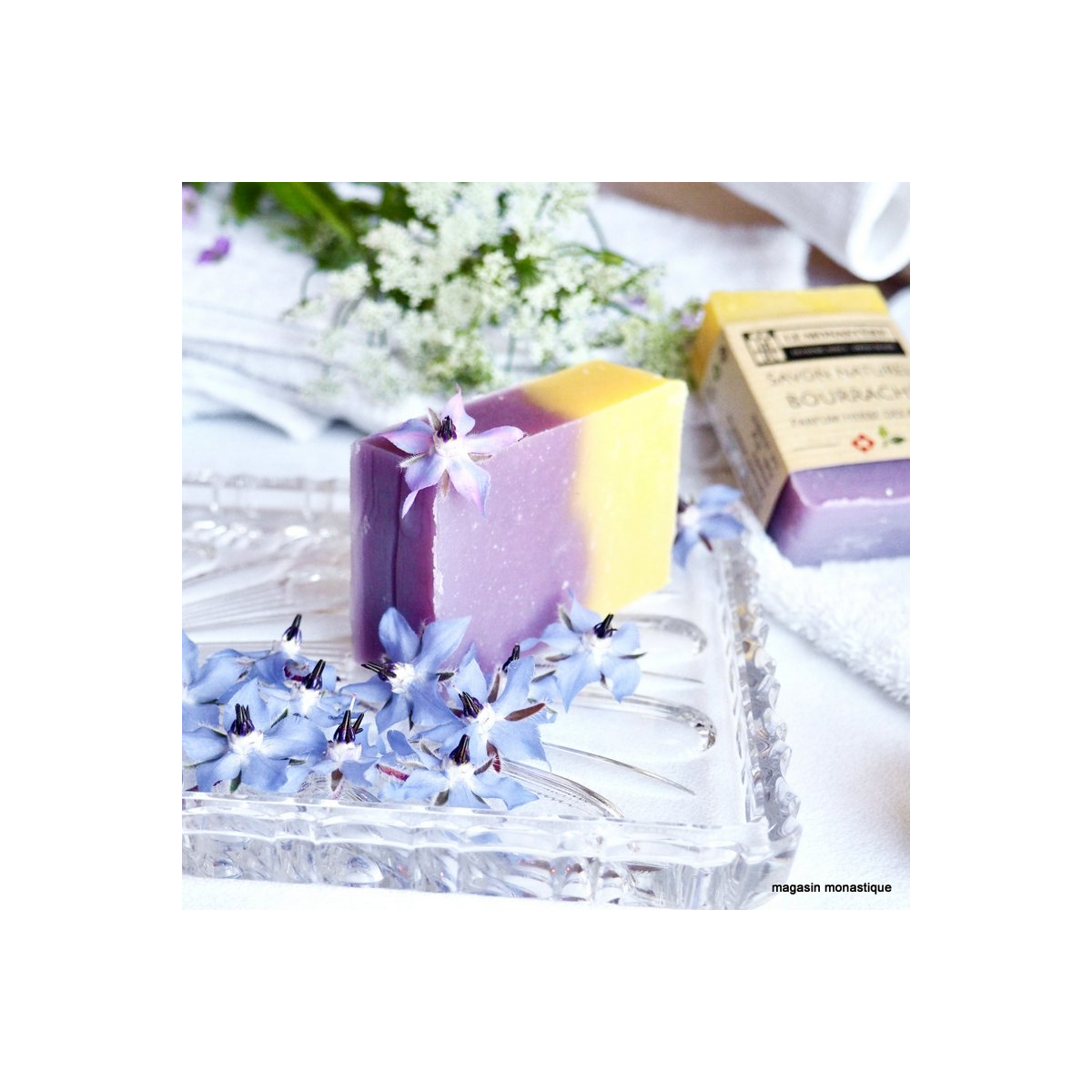 savon solide à l'huile de bourrache