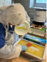 fabrication du savon solide à la verveine