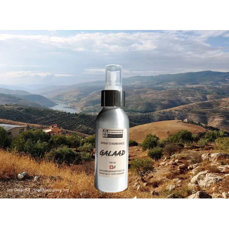 parfum d'ambiance en spray