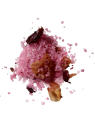 sel de bain rose - sels d'Epsom