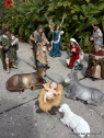 Crèche de Noël - 11 pers - 20 cm