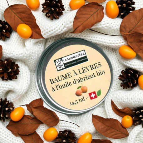 baume à lèvres pour l'hiver
