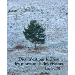 Carte condoléances 5