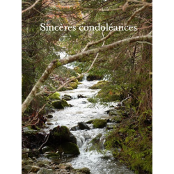 Carte condoléances 4