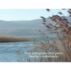 nous partageons votre peine