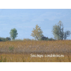 condoléances