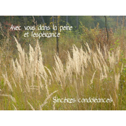 Carte "Avec vous dans la peine et l'espérance"