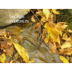 carte condoléances feuilles automne