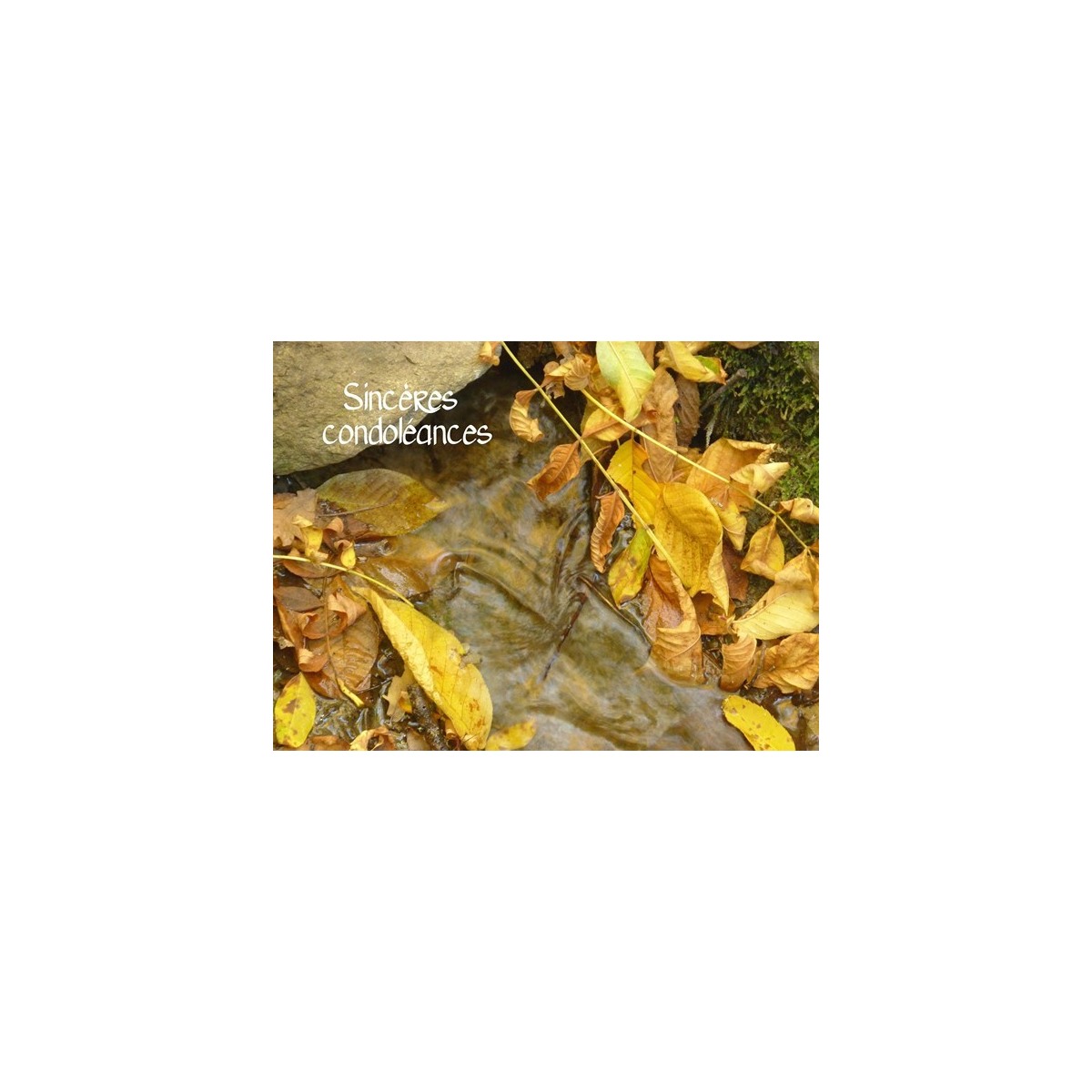 carte condoléances feuilles automne