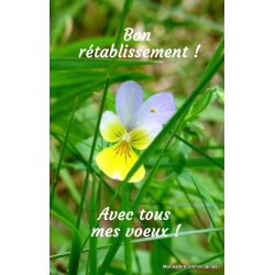 Bon rétablissement et voeux de santé