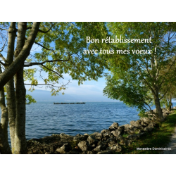 Carte de Voeux de rétablissement lac Suisse
