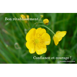 Carte de bon rétablissement avec une belle fleur