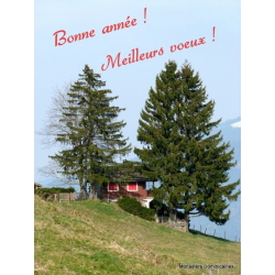 Carte "Bonne année et meilleurs veux" repésentant un chemin montagne