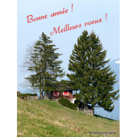 Carte "Bonne année et meilleurs veux" repésentant un chemin montagne