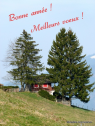 Carte "Bonne année et meilleurs veux" repésentant un chemin montagne