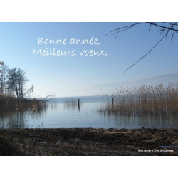 Carte "Bonne année!"