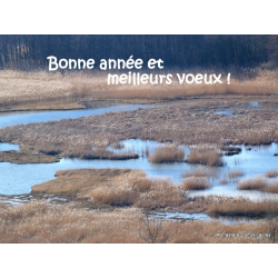 Carte "Bonne année et meilleurs veux"